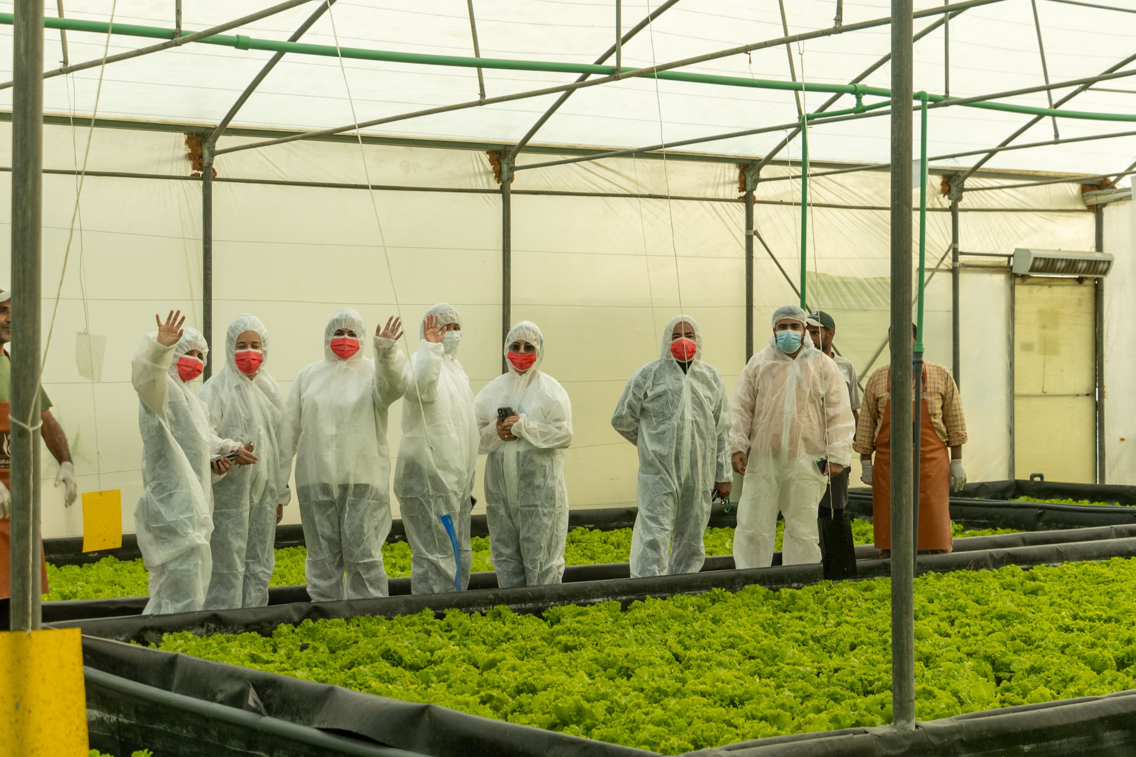 Greenhouse team standing among leafy crop rows under ReNile-monitored systems